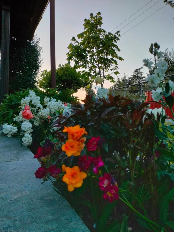 Adam'S Holiday House 2019 Kariani Bagian luar foto