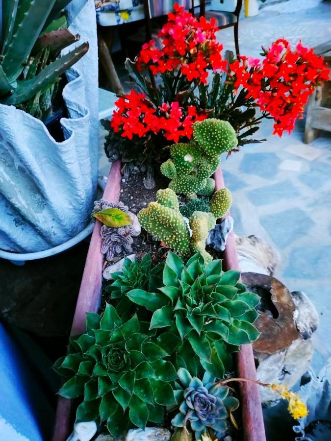 Adam'S Holiday House 2019 Kariani Bagian luar foto