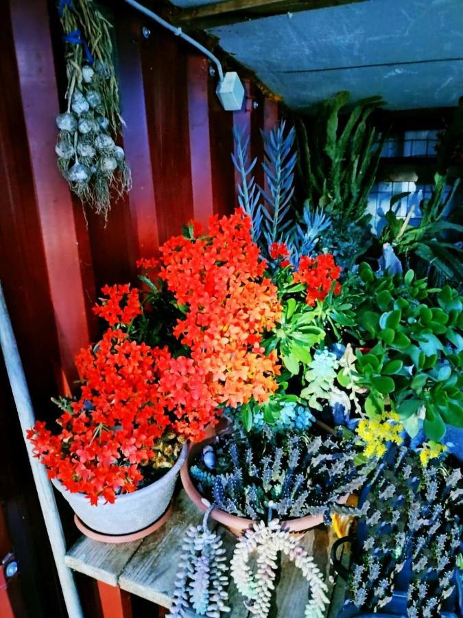 Adam'S Holiday House 2019 Kariani Bagian luar foto