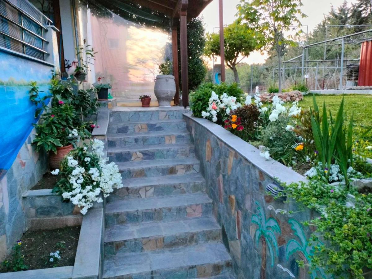 Adam'S Holiday House 2019 Kariani Bagian luar foto